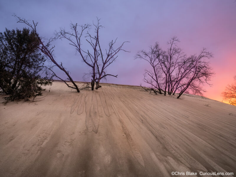 Sunrise at Mount Baldy in Indiana Dunes National Park with warm sky tones contrasting dark trees and sand