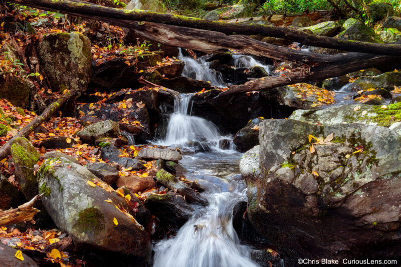 Small waterfall in Great Smoky Mountains National Park with fallen logs, moss, scattered leaves, and glowing autumn colors.