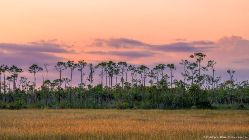 Sunset over prairie and hardwood forest in Everglades National Park, capturing the natural beauty of the landscape with pastel skies and silhouetted trees.