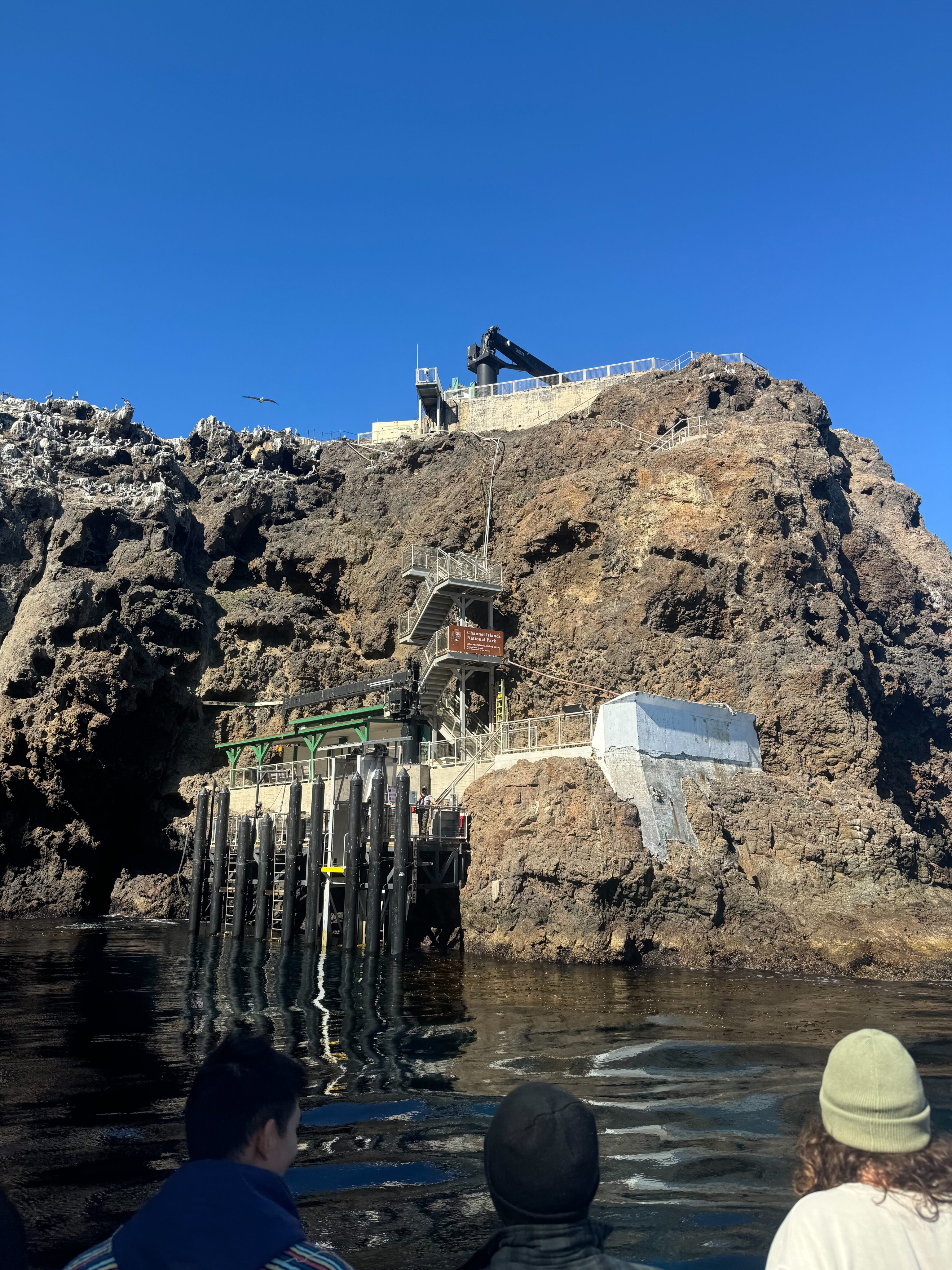 A view of the peirs and the boat dock, ladder and stairs that leads up to Anacapa island. Taken from the boat.