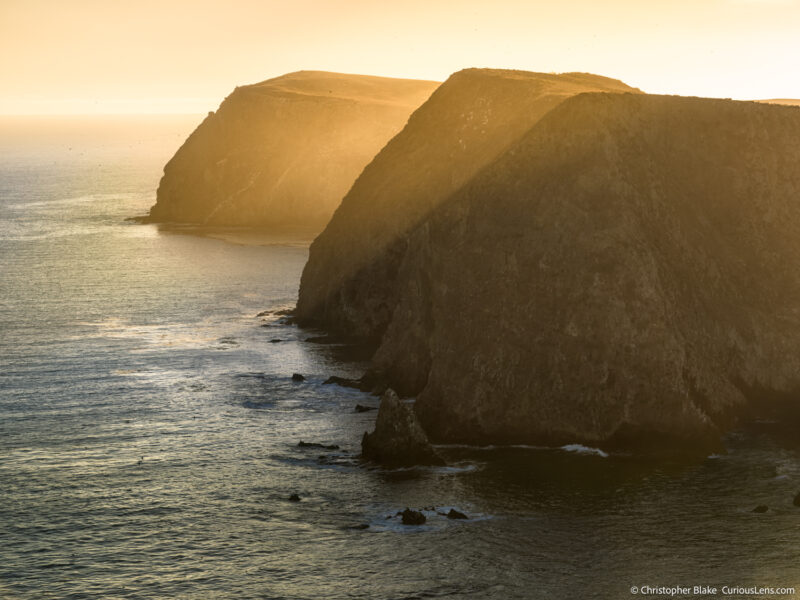 Golden sunset glow over Middle Anacapa Island cliffs with birds flying around, taken from Inspiration Point.