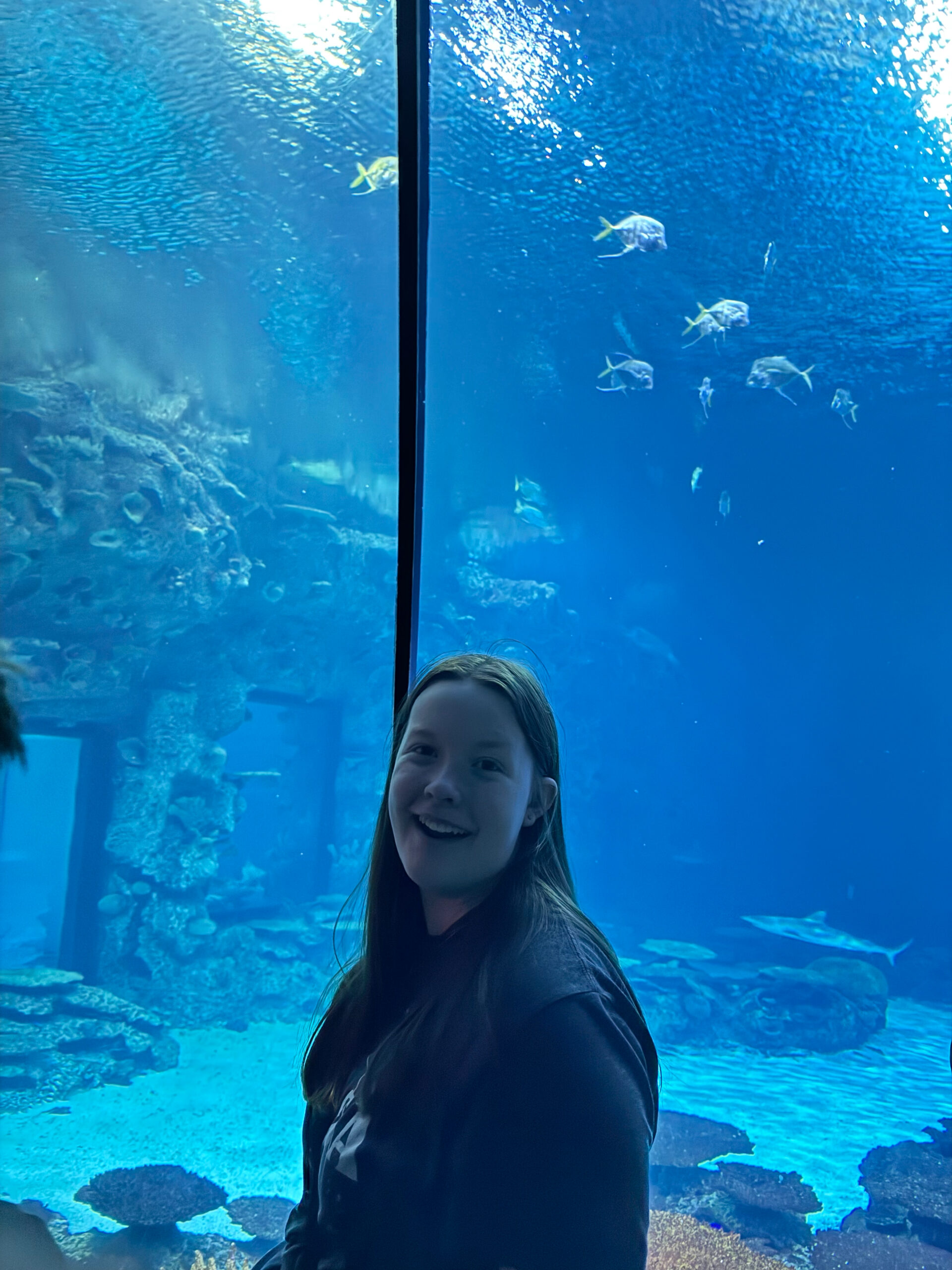 Cameron in front of a massive fish tank, with sharks swimming in the background. At the Shark Reef Aquarium.