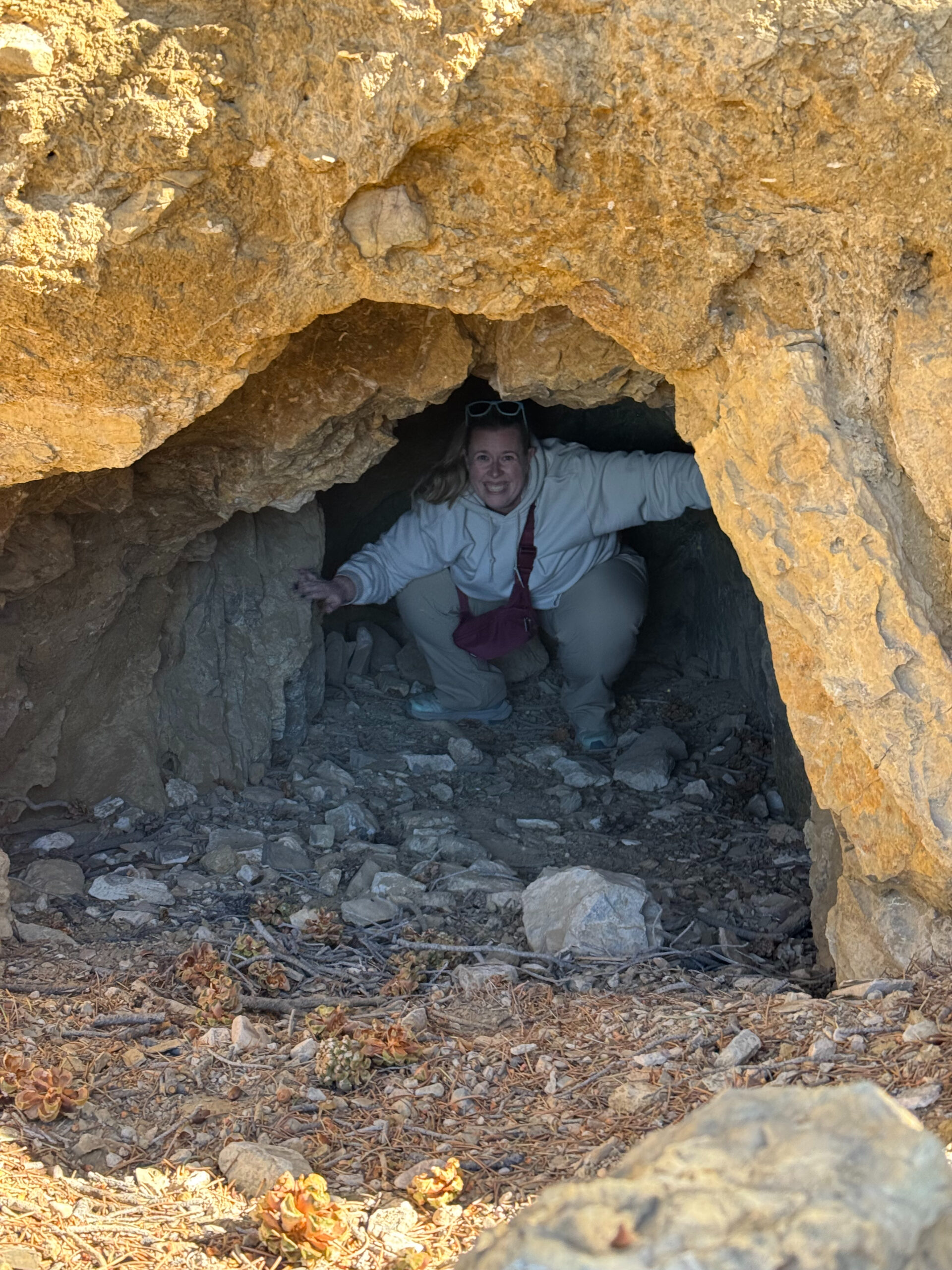 Cat looking out after she went into a small cave near the Wildrose Charcoal Kilns in Death Valley National Park.