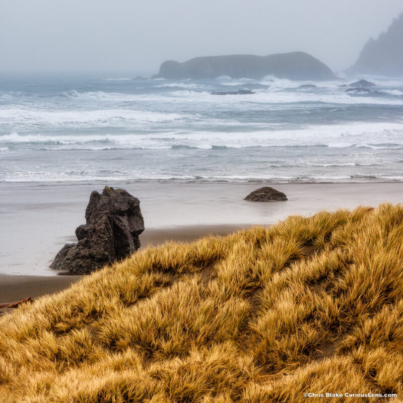 Stormy Oregon coast scene at Ariya Beach with windswept sea grass in the foreground and crashing waves in the distance.