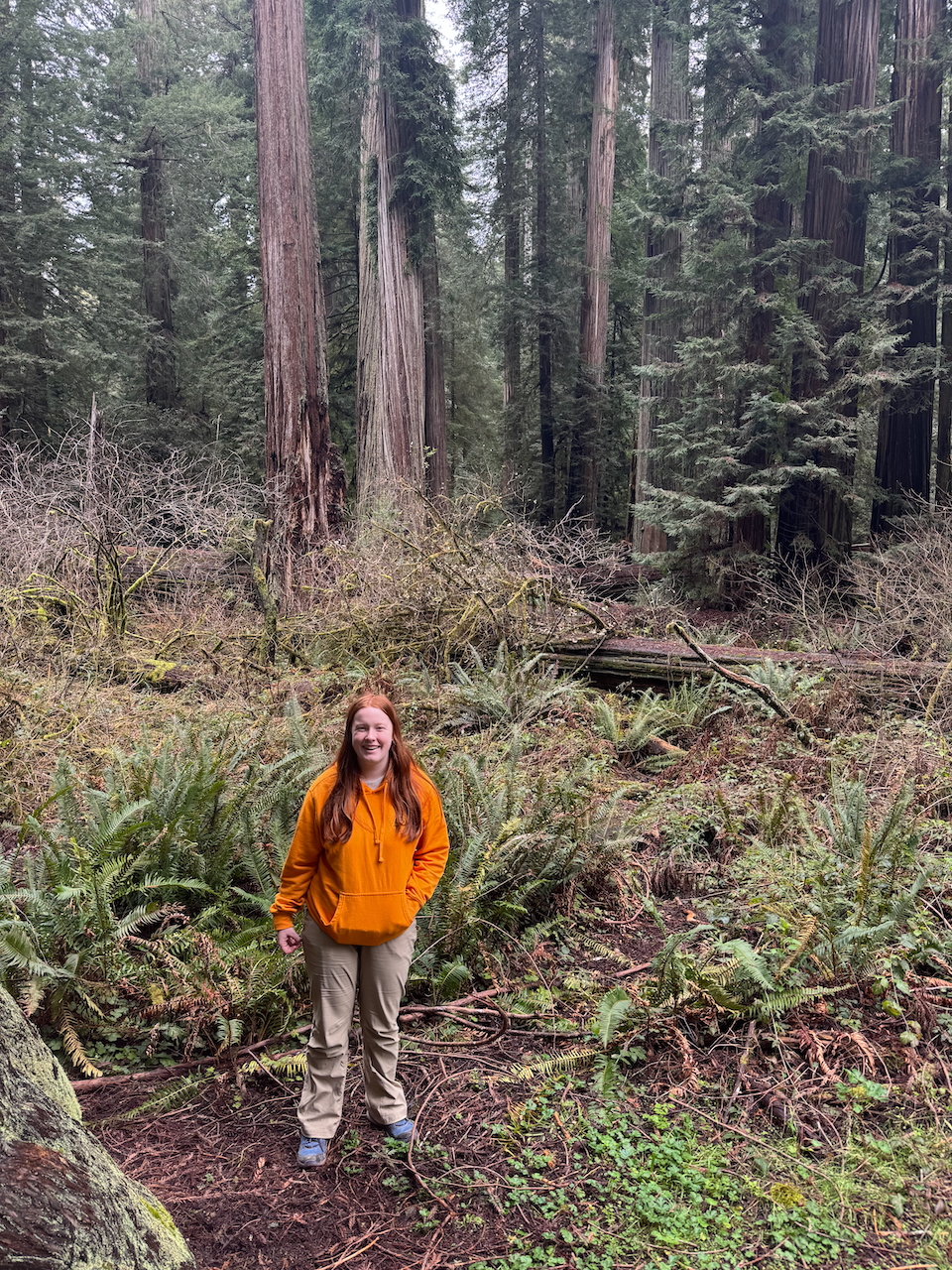 Cameron in an orange hoodie standing in the middle of the green forest in the Jedediah Smith Redwoods State and National Park.