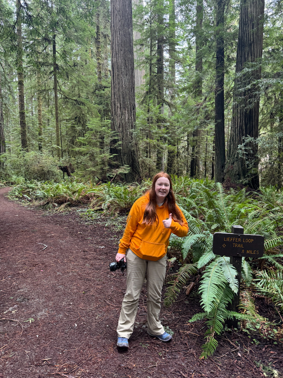 Cameron in an orange hoodie giving a thumbs up and holding a camera on the Lieffer Loop trail in the Jedediah Smith Redwoods park.