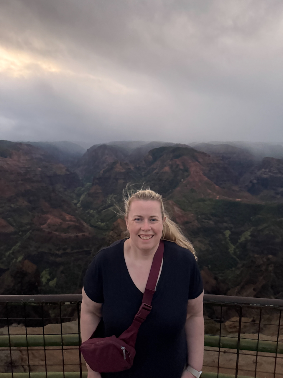 Cat standing at Waimea Canyon Lookout with clouds rolling over the canyon.