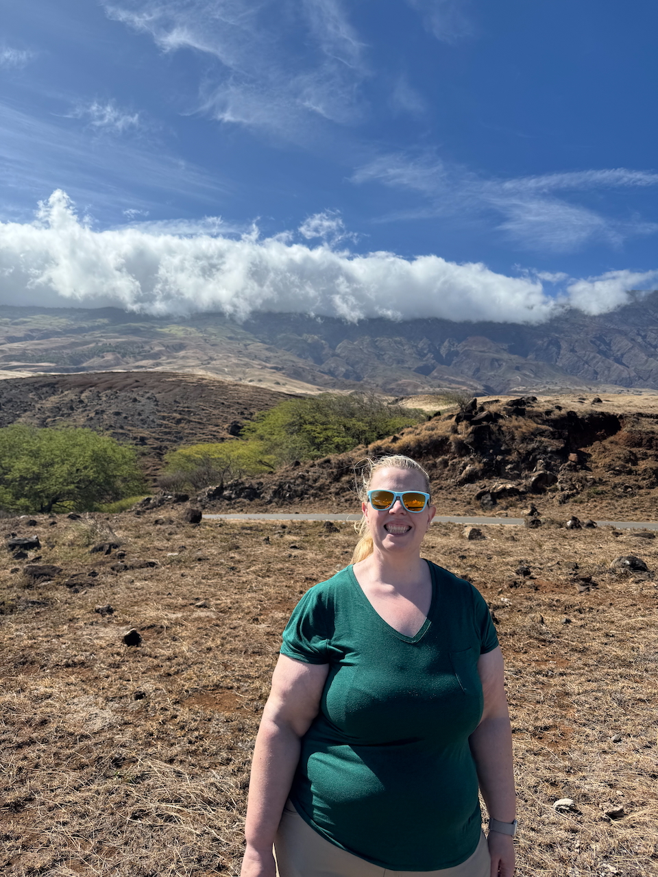 Cat standing in volcanic landscape.