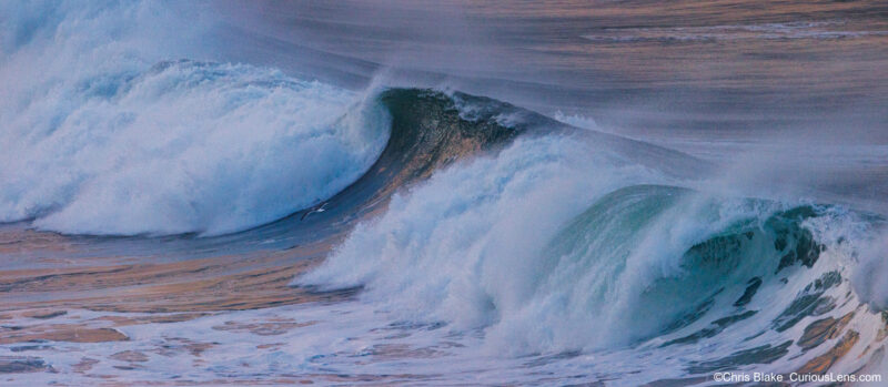Crashing ocean wave below Heceta Head Lighthouse with a cormorant flying past