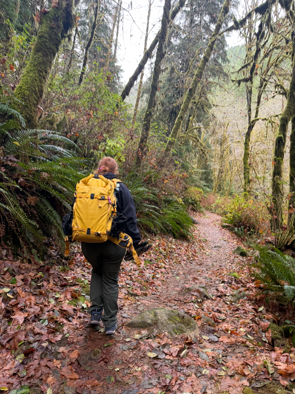 Cameron hiking the Sweet Creek Falls trail through Oregon forest