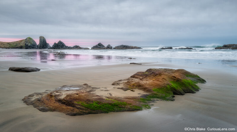 Moss-covered rocks on Seal Rock Beach with sea stacks and soft sunrise reflections in the water