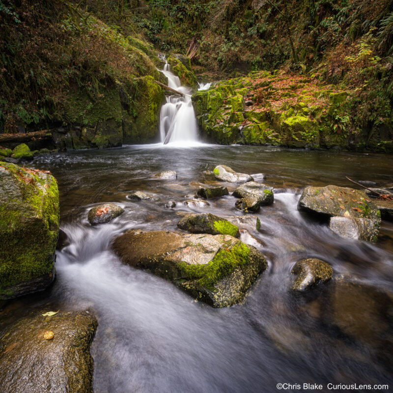 Sweet Creek Falls with flowing stream and moss-covered rocks in an Oregon forest