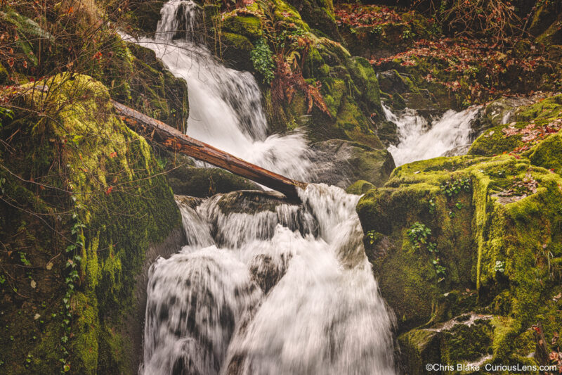 Sweet Creek Falls cascading over moss-covered rocks in an Oregon forest during autumn