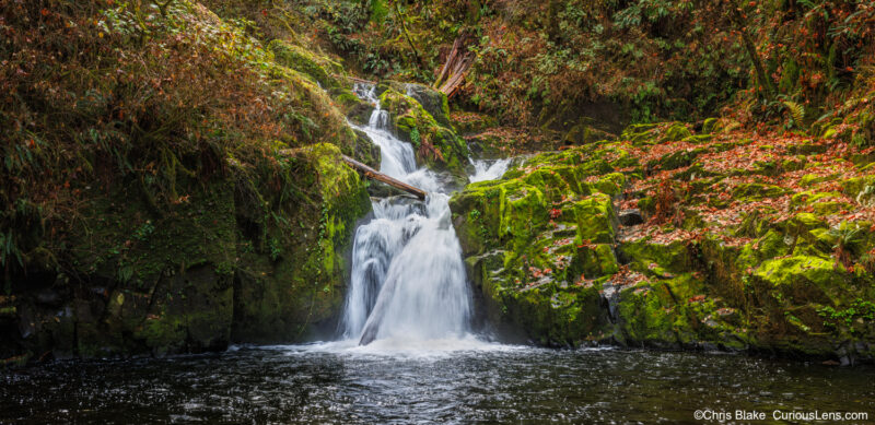 High-resolution panoramic photograph of Sweet Creek Falls in Oregon, showing water cascading over moss-covered basalt rocks, surrounded by dense green forest and autumn leaves.