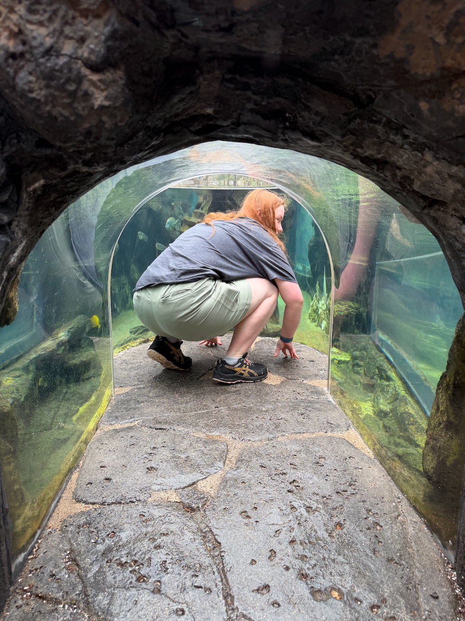 Cameron inside a viewing tunnel at Sea Life Park Hawaii.