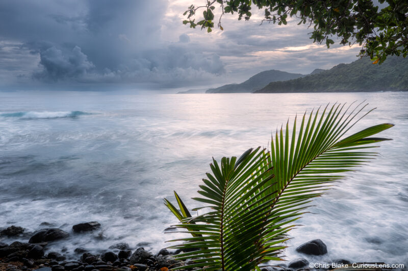 Stormy coastal view at Pola Island Beach in American Samoa, with palm fronds in the foreground, dark rain clouds, and waves moving across the rocky shoreline.