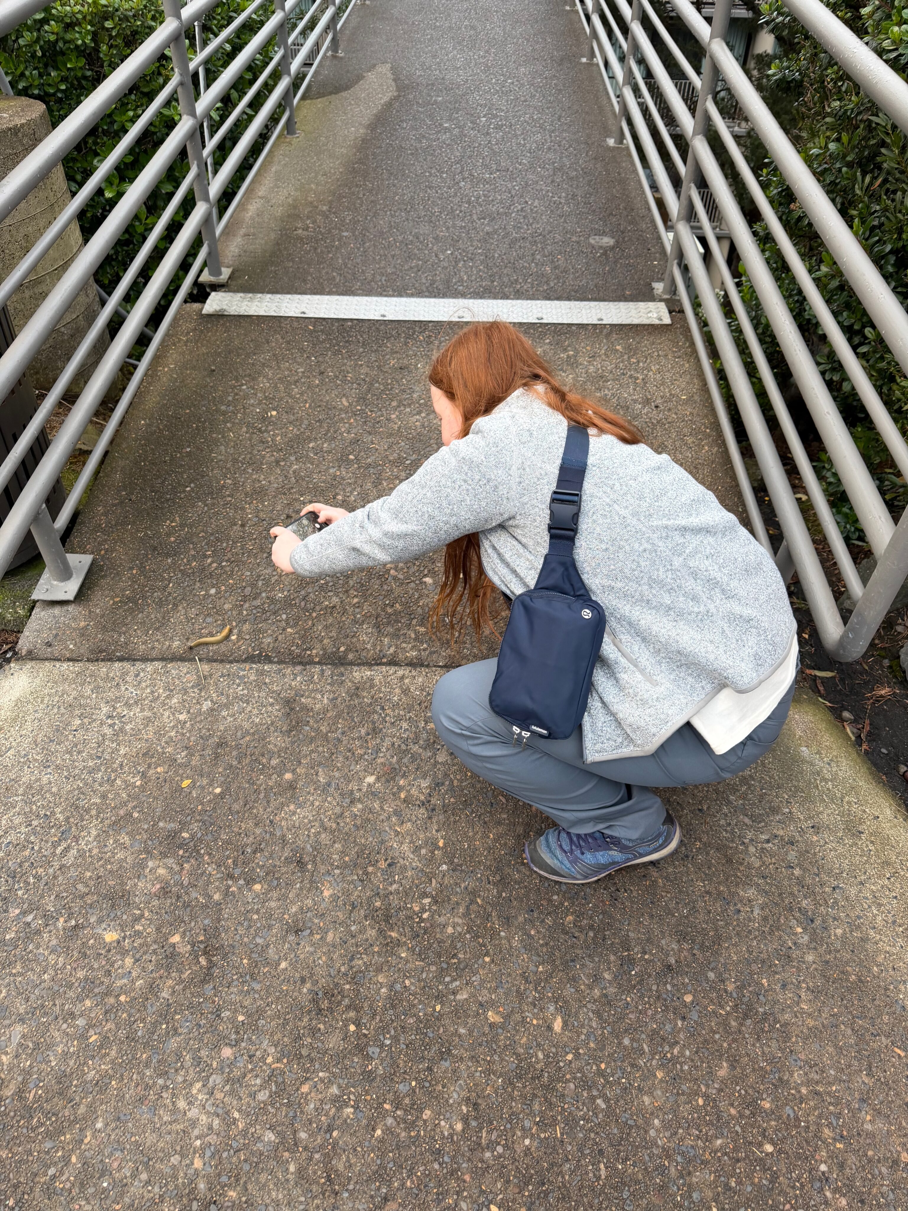 Cami taking a photo of a banana slug near our hotel in Newport, Oregon.